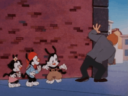 From the cartoon show Animaniacs.