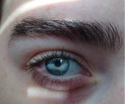 yewtube:  I love eyes 