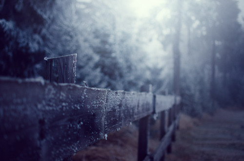 touchdisky:  frosty fog by Meyer Felix porn pictures
