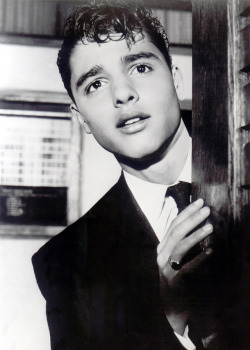 tcm:  Gay Hollywood continues this week with tributes to Sal Mineo, Rock Hudson, Tennessee Williams, George Nader, David Lewis, Jack Cole, and Liberace