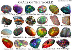 rosecoveredtardis:  pangeasplits:  carry-on-my-wayward-butt:  Opals? more like the depths of fucking space smushed into a stone  Opals? more like hydrous silica aka quartz  Opals? more like why the fuck wasn’t I born in october 