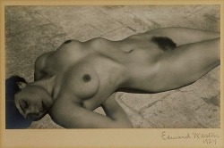 raveneuse:  Edward Weston, Nude, Mexico, 1924 