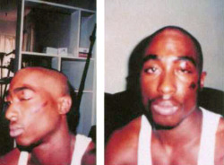 pariahmessiah:  Remember when Tupac got his ass stomped out by Oakland Police for “Jaywalking” and then went on to record “Holler If Ya Hear Me”? Yep … that was 22 years ago. Ain’t shit changed.  Systemic Police Policy against the Minority