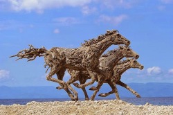 Run wild, run free (driftwood horse sculpture created to mark the Chinese Year of the Horse ~ by James Doran-Webb)