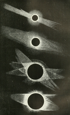 nemfrog:The corona of the solar eclipse of July 29, 1878, from different sources. Knowledge. v.11. August 1, 1888. Internet Archive