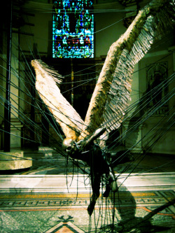 ewok-gia:  Morning Star by Paul Fryer &ldquo;Lucifer (Morning Star) is an installation at the Holy Church in Marylebone depicting a wax Lucifer suspended by high-power lines. 2008.&rdquo; [X] 