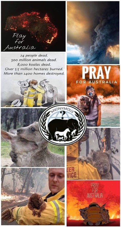  #PrayForAustralia #Anonymous #opBeast  