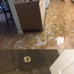 i-have-lived-1000-lives:I hate this house. I hate this housing company. This whole flooding bullshit shouldn’t happen this often. We’ve lived here 2.5 years and this is the 4th time this has happened. First time it did they couldn’t find anything