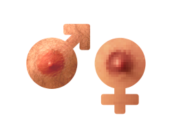 jayreyilly:  Nipples by Jay Rey we had to tackle ideas of gender for homework. My solution to the assignment was to tackle the issue of a male versus a female nipple and why a female nipple needs to be censored. They are nipples ya’ll, beyond being