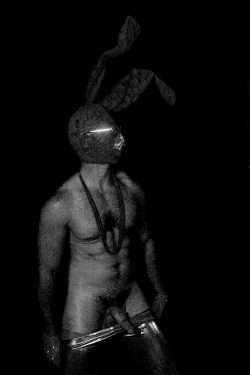 HARE DON&rsquo;T CARE - ALEXANDER GUERRA 2013