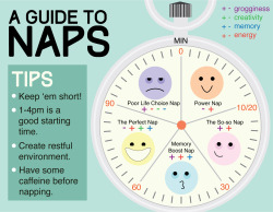 owlmansdead:  onwingstodestiny:A Nap Infographic I did for class.Because Naps are important.  Naps ruin lives