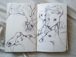 scrickiras:  sketchbook work from a trip