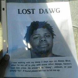 blvckmill:  help to find this dawg spread the word 