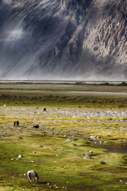 breathtakingdestinations:  Ladakh - Jammu and Kashmir - India (von Prabhu B Doss) 