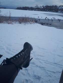 pcs0414md:  halifaxlatexcumslut:  Watching the Ducks in my new boots!  #novascotia #shinyboots #highheelboots #sundayfunday  Even while at the park my @halifaxlatexcumslut wears her heels. I guess there is snow so you’ve got to keep the feet warm and