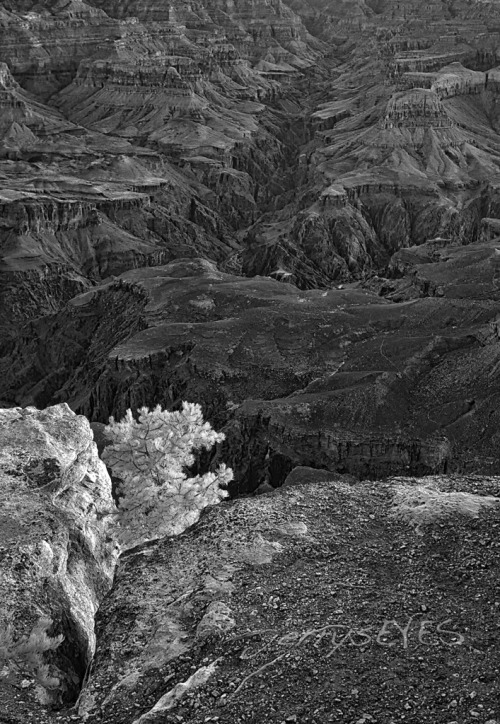 “Into Bright Angel” BW infrared image looking into Bright Angel CanyonGrand Canyon National Park-jerrysEYES