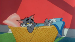 itsyamtastic:  chuck jones gives tom some the best expressions ashd;dj 