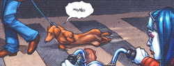 imgonnamakeachange:  tom-sits-like-a-whore:  dickraisin:  Harley Quinn #1  The appropriate response to seeing an abused dog  reasons why i am harley quinn 