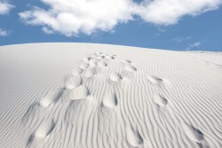 smithsonianmag:  Photo of the Day: Footsteps to the Sky Photo by Cynthia Hestand (Spicewood, Texas, USA); New Sands, New Mexico, USA