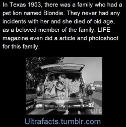 Ultrafacts:  Source Follow Ultrafacts For More Facts