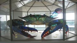 cold-warrior:  mysteryofthelizardmen:  uss-edsall:  Fun fact: There’s a giant 500 pound blue crab made out of stained glass in Baltimore-Washington International Airport (BWI).  We’re serious about our crabs here  Is Baltimore real or did I imagine
