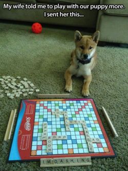 Surreal Scrabble (lol at the message on the board)