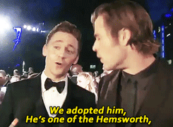 hom-tiddlestoner:   maybe stop behaving like a newly married couple, you two [x] (¬‿¬)✿◠  AW TOM TALKING ABOUT KITTENS 