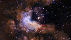 astronomyblog: Celestial Fireworks: Into Star Cluster Westerlund 2  What if you could go directly to a cluster where the stars are forming? This animation was done with 3D computer modeling of the region around the star cluster Westerlund 2, based on