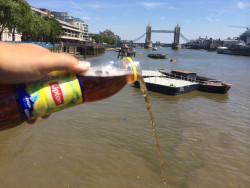       this is how americans celebrate 4th of july in london   THATS NOT EVEN REAL TEA YOU UNGRATEFUL YANK -sound of bumbling angry british persons in the distance-  Like you would know what real tea is, you stole it from the Asians   
