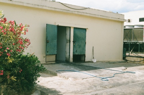 craigdavidlong:  Back of house. The Residence, Gammarth. Tunis, Tunisia. July 2014.