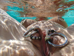 Pierced pussy. Remarkably clear underwater photo, flesh tunnels and large rings in labia.