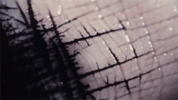 teach-me-how-to-buggy:  lehrastar:  sizvideos:  Ink flowing between the cracks in a human handVideo  THIS IS SO METAL!!!!  Literally.