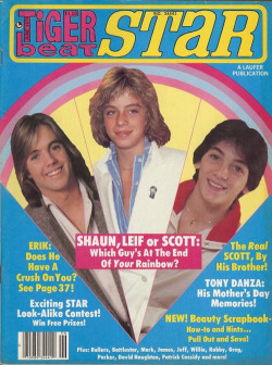 60s70sand80s:  Tiger Beat Star, June 1979