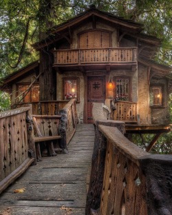 coolkenack:  voiceofnature: Treehouse. Pictures by   Michael Victor   This can’t get any better. 