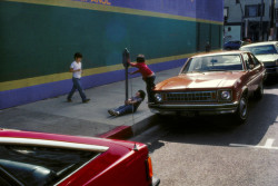 one-photo-day:  Los Angeles, 1982, by Harry Gruyaert.
