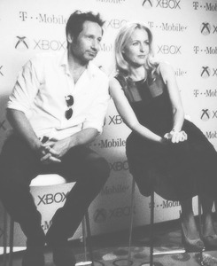 lanaprrilla:  David Duchovny and Gillian Anderson @ SDCC 2013  Anderson: “A lot of women have come up to me and told me they went into Physics because of Scully.&ldquo;  Duchovny: &quot;Men often come up to me and say they got into Scully because of