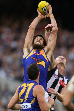 dylanbangbang:  Best Armpits in AFL- Josh Kennedy 