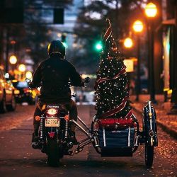 Merry XMas 🎅🏽 (📸: matthewjonesphoto) #xmas #2015 #xdiv #xdivla #xdivclothing #xdivapparel #triumph #moto #motorcycle #christmastree #christmas #ridehard #neverdie #ridehardneverdie