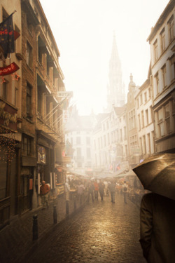  Brussels, Belgium by ilina s  