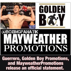 boxingfanatik:  Team Guerrero, Mayweather
