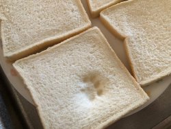 oooooooo: マネークリッパー吉沢の写真さんのツイート: “ヤマザキのふんわり食パンはこんなにふんわりです。 #猫… ”
