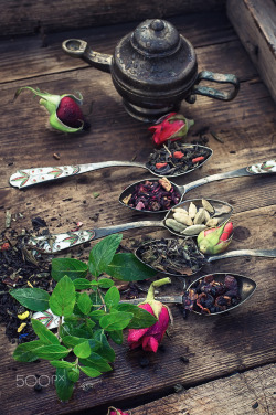 silvaris: Herbal Tea Collection by Mykola Lunov  