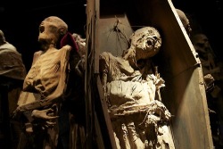 congenitaldisease:  The Guanjuato Mummies are considered to be amongst the most horrifying in the world due to their contorted faces, which lead to the belief that some were buried alive. Author, Ray Bradbury, visited the catacombs and stated:  “The