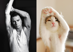 bobbycaputo:  Hilarious Photos of Sexy Men and Adorable Cats in Similar Poses                 