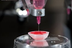 kqedscience:   5 Body Parts Scientists Can 3-D Print       &ldquo;Tissue engineers have begun to print a variety of body parts. Here’s what the operating room of the future may hold.”      