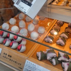 Yes, they are edible!!! #Mochi #Strawberry🍓🍓🍓 and Redbean #Sakura 🌸🌸🌸 flavored mochi    #Tokyo #Ginza #food #dessert #sweet 🇯🇵🎌