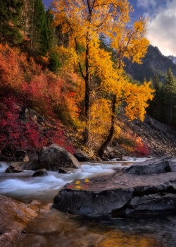 radivs:  October’s Embrace by Candace Bartlett Candace Bartlett:   ”I have a bit of an obsession with Autumn. I’m particularly fond of October, when foliage really starts to put on its vibrant show. One of my favorite places to explore in October