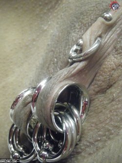 Wow! Enormous gleaming metal flesh tunnels through her labia, each with large metal rings through it.