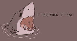 catbountry:  heart-for-ammit:  fluffpudge:do not skip meals; food is important &amp; good for your health  thanks shark  Remember to eat PEOPLE