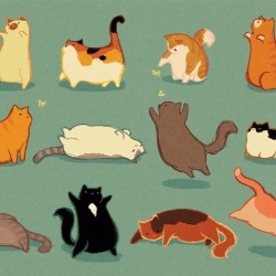 deerestcatblog:  kyungsoosbumhole:   Fat cats for you day   thank you!! 
